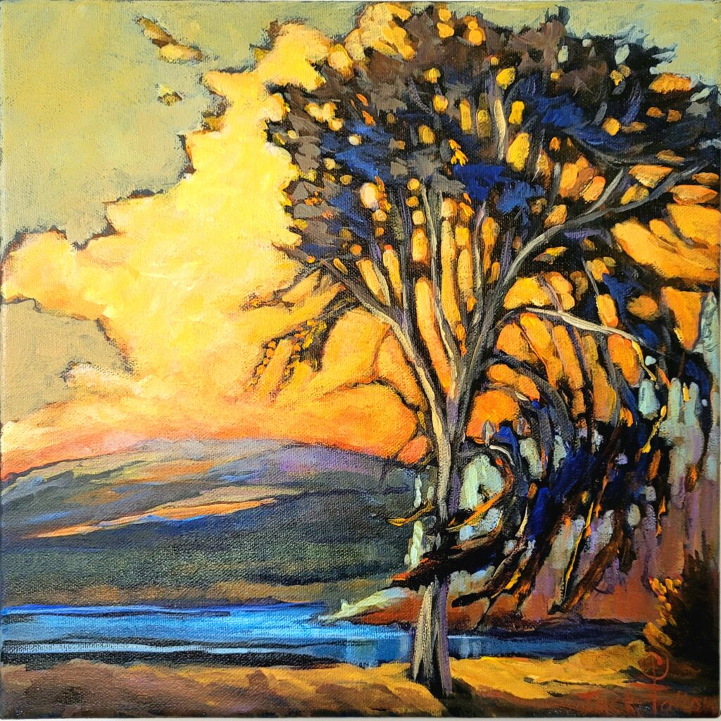 The Hills, Tree Solo Series - Black Spruce Gallery