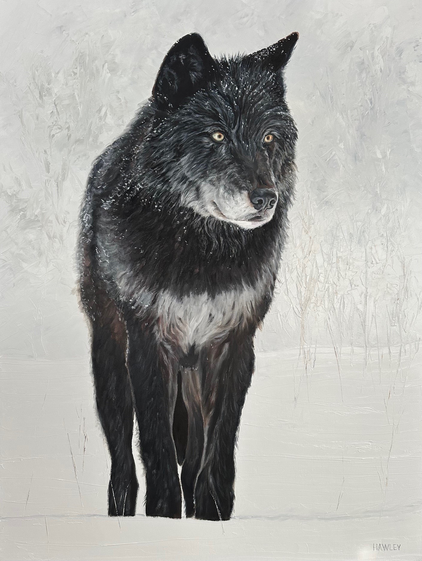 Waskesiu Wolf