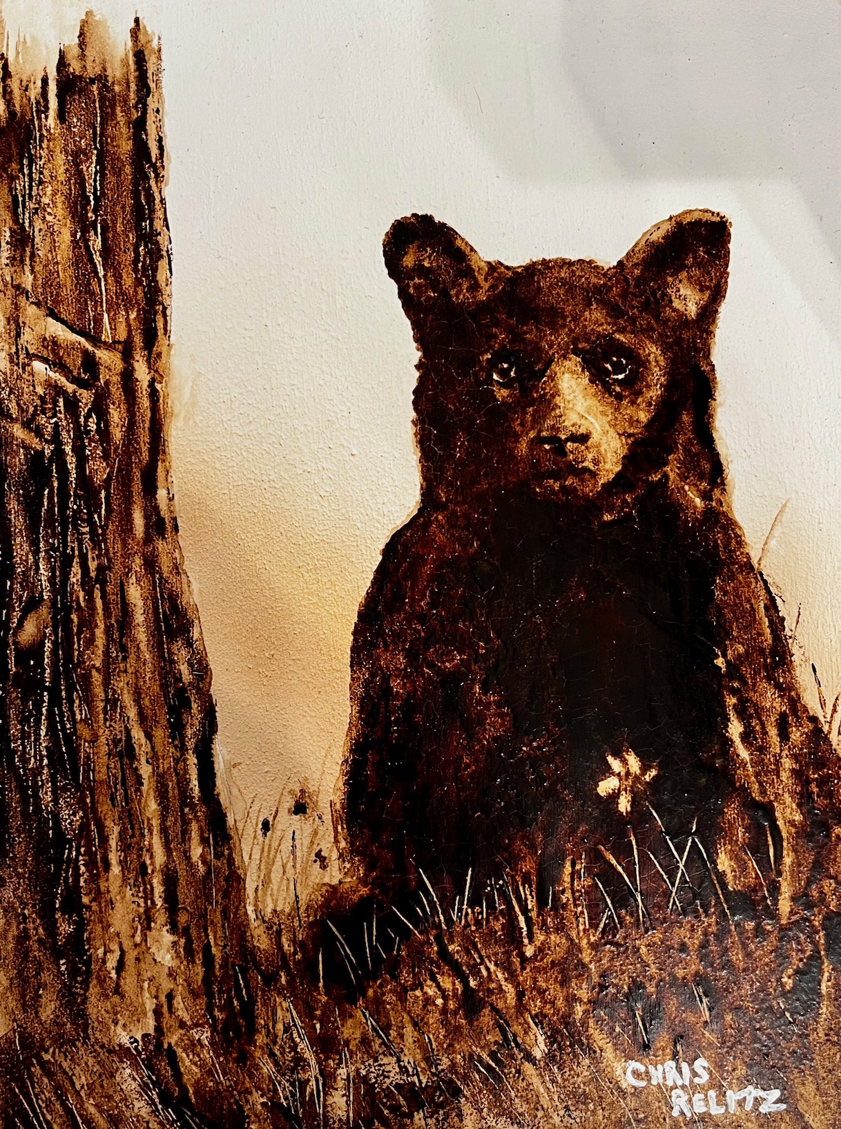 Bear Sign
