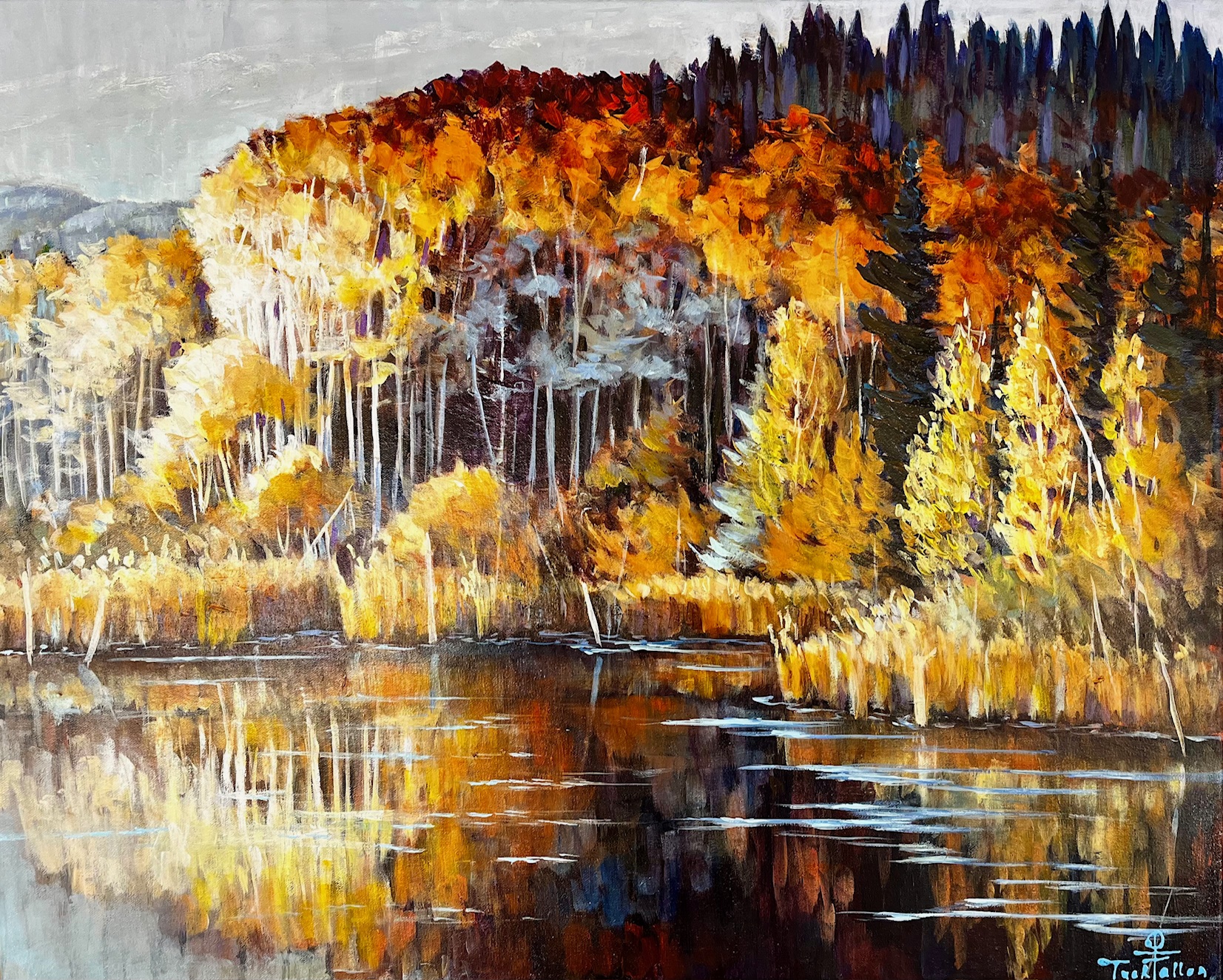 Aspens in the Sun