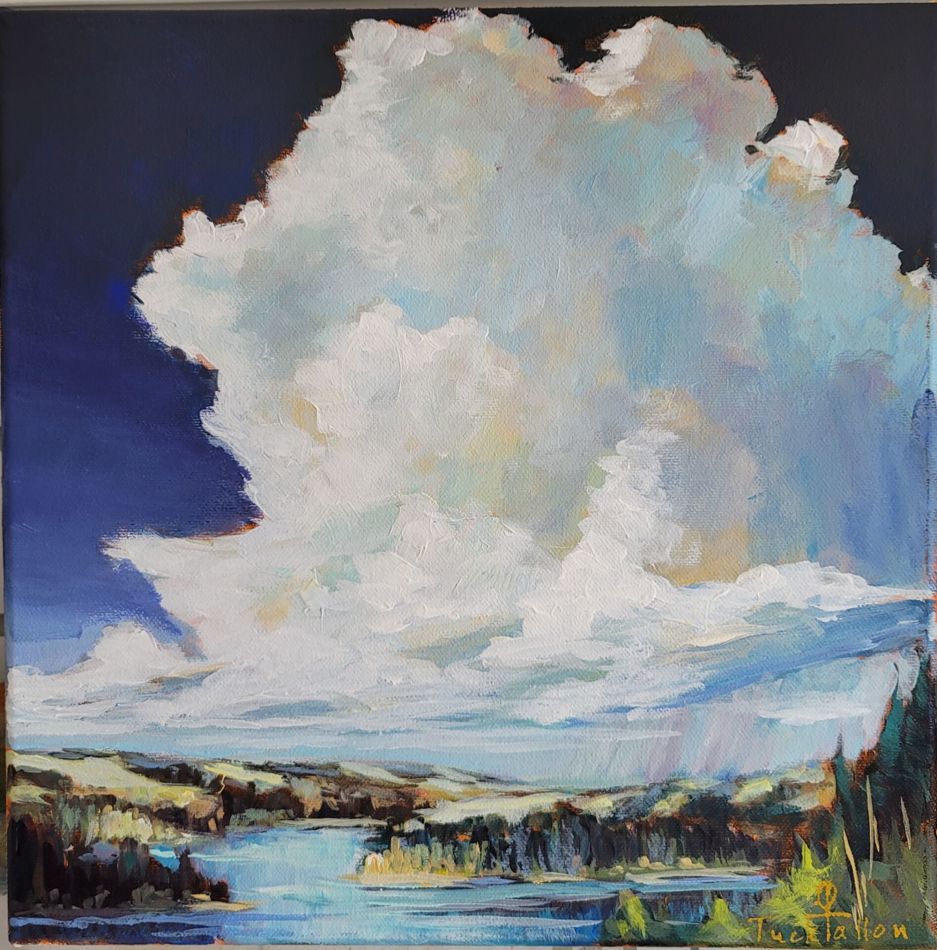 Chasing Clouds, Study