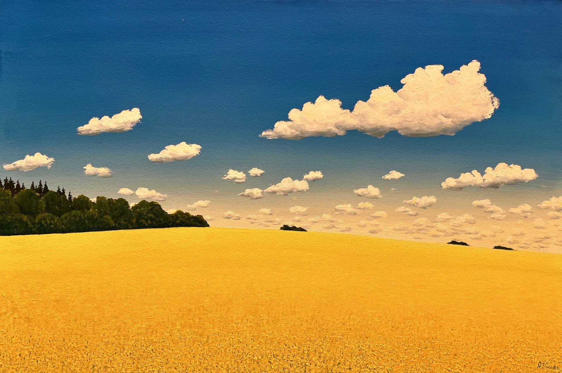 Bruce's Field