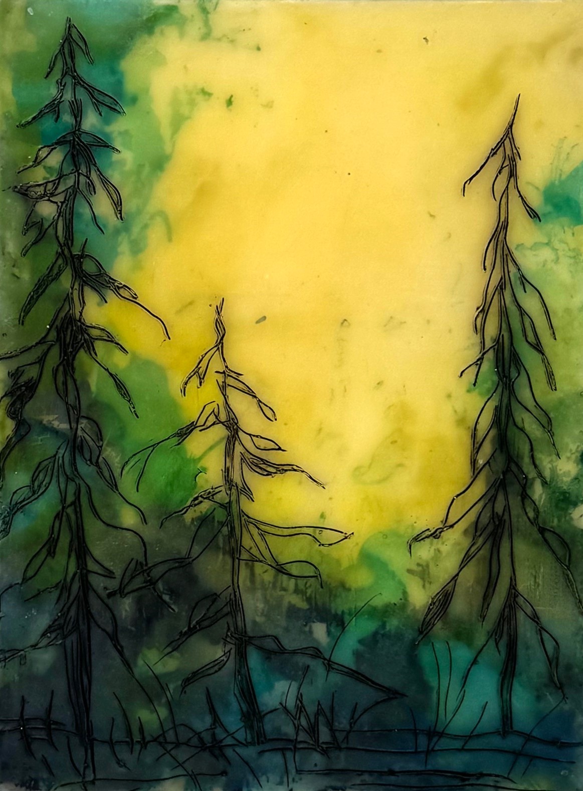 Mysterious Forest #11