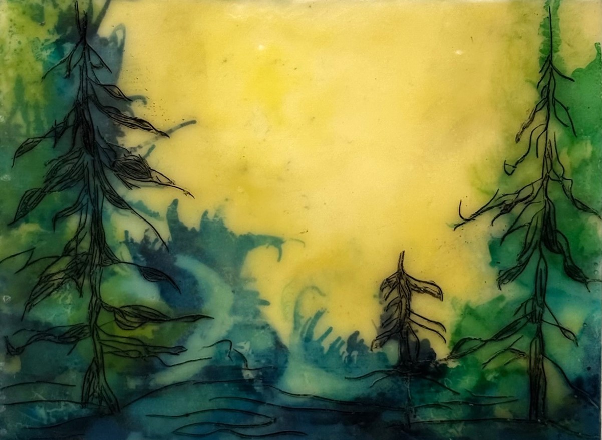 Mysterious Forest #13