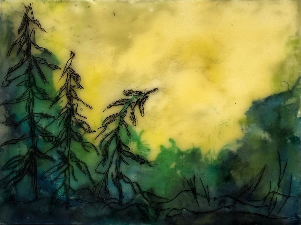 Mysterious Forest #14