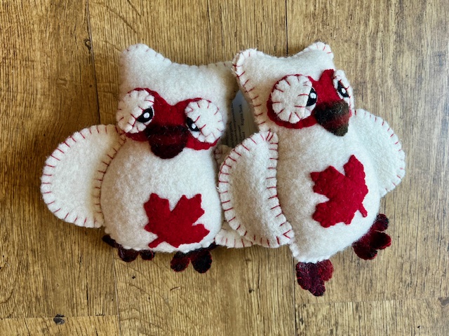 Baby Canadian Owls