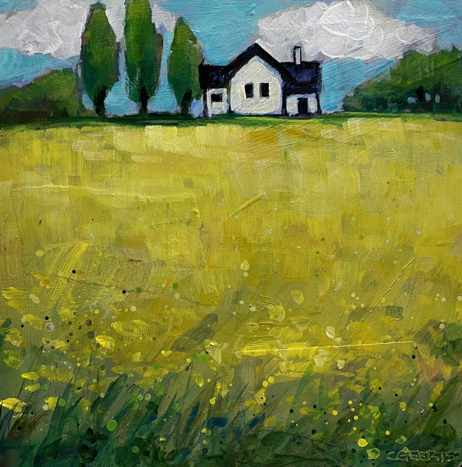 Canola