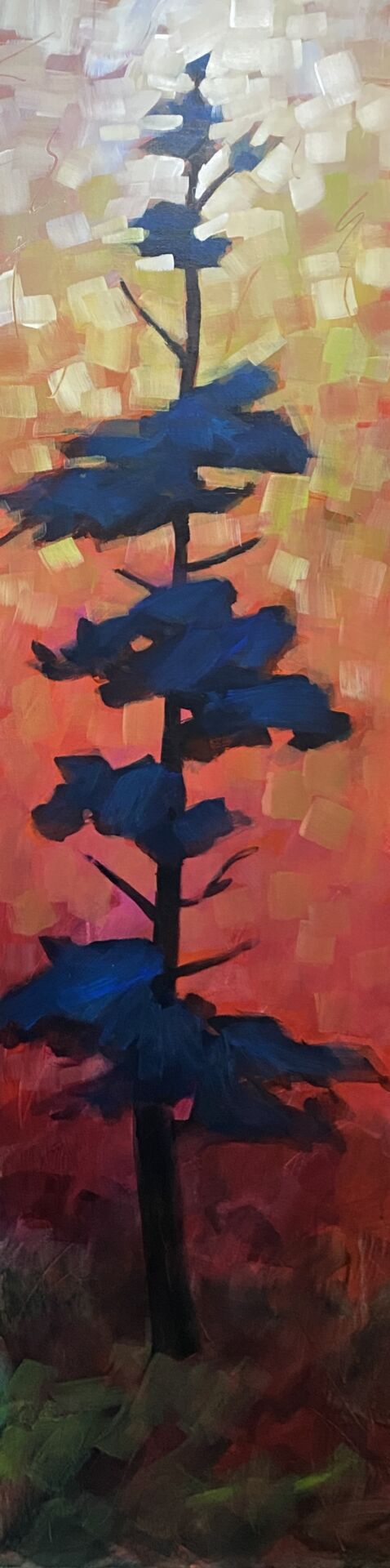 Rooted