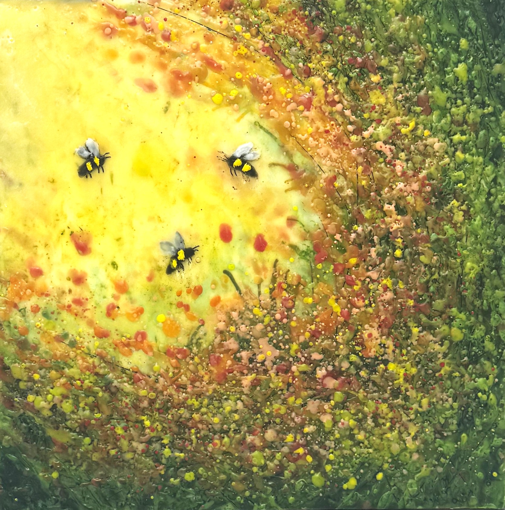 Buzzing in the Sunshine