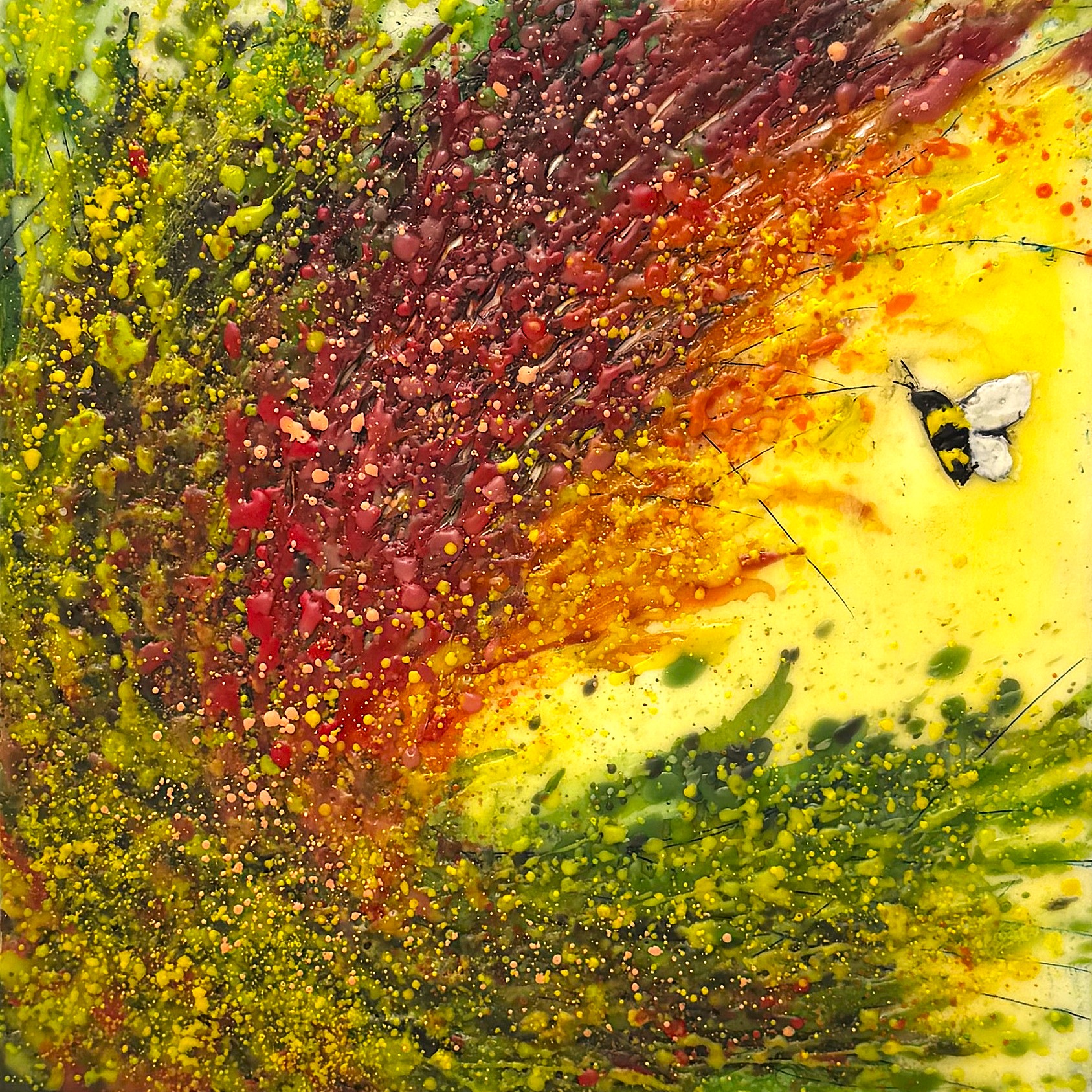 Chasing Wild Blooms