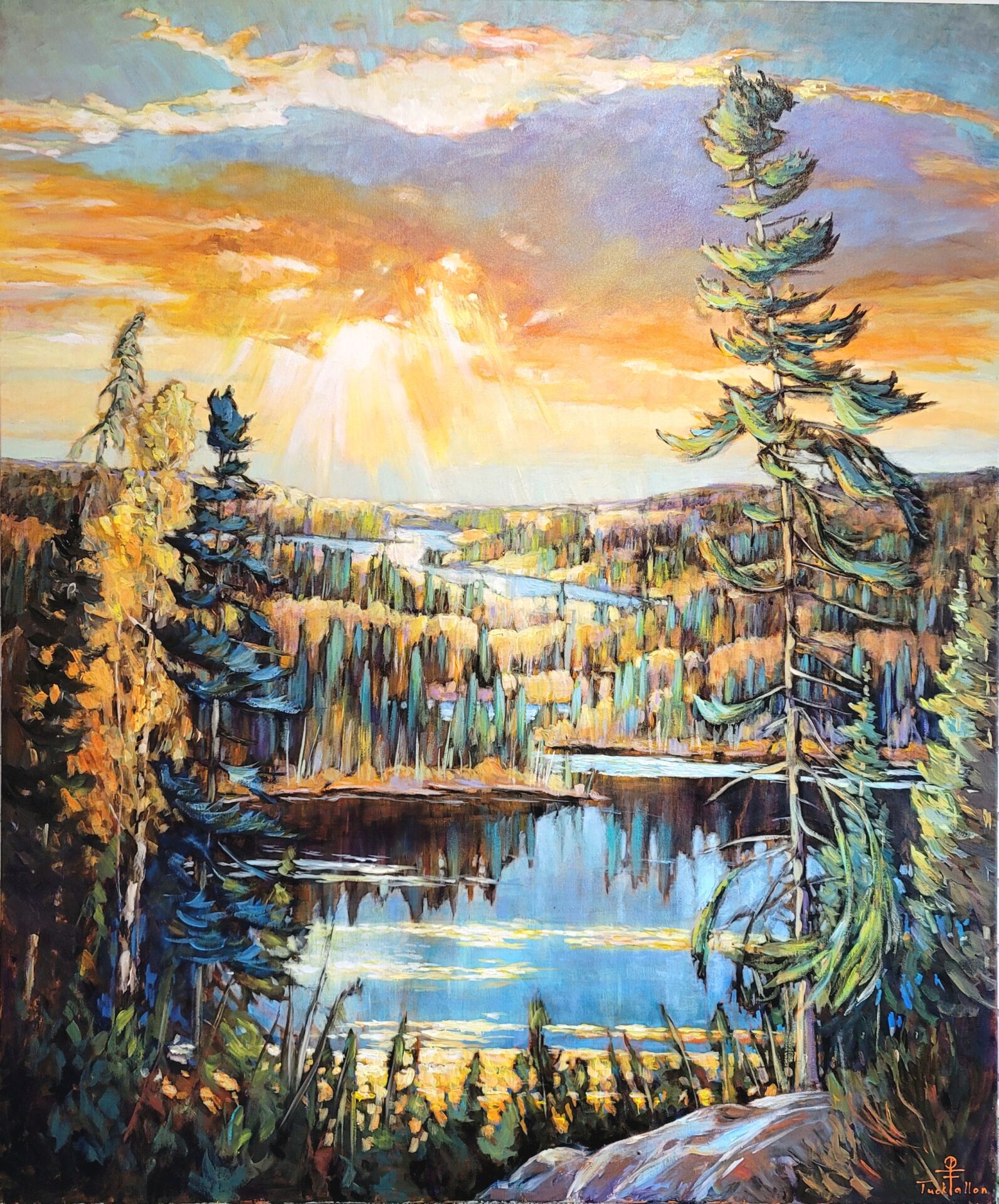 Boreal Wonder