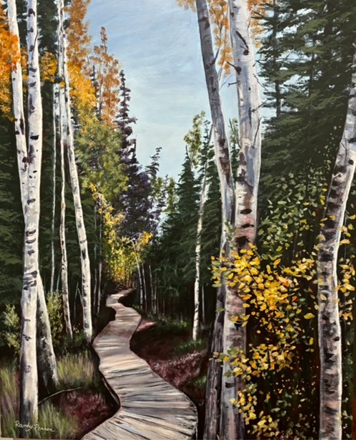 Boundary Bog Trail - Boardwalk 1