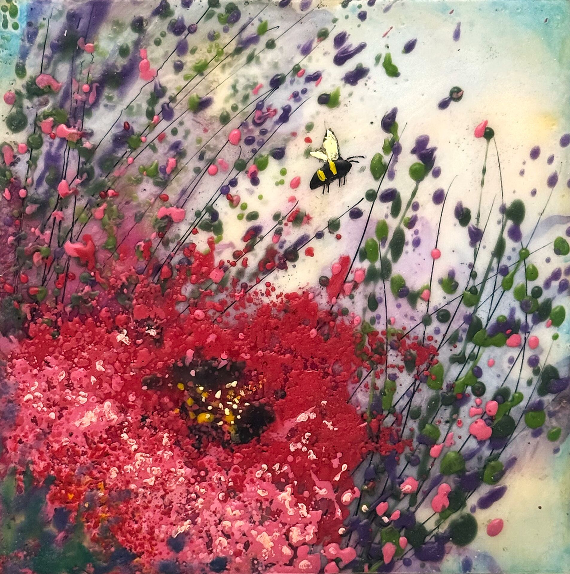 A Burst of Pink