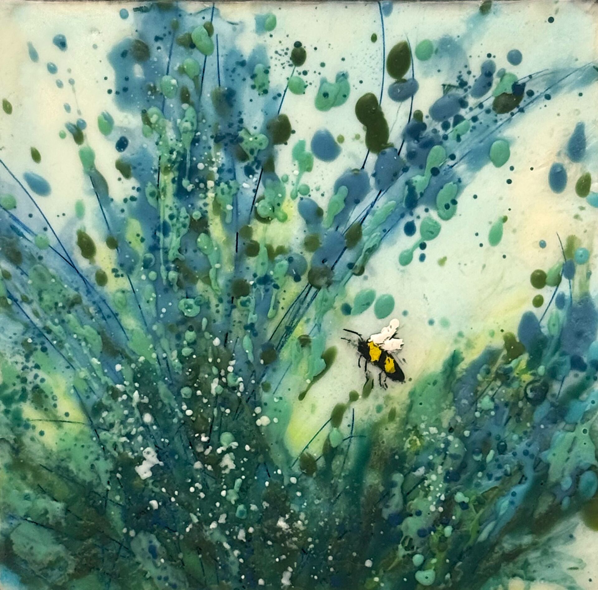 Aqua Melody