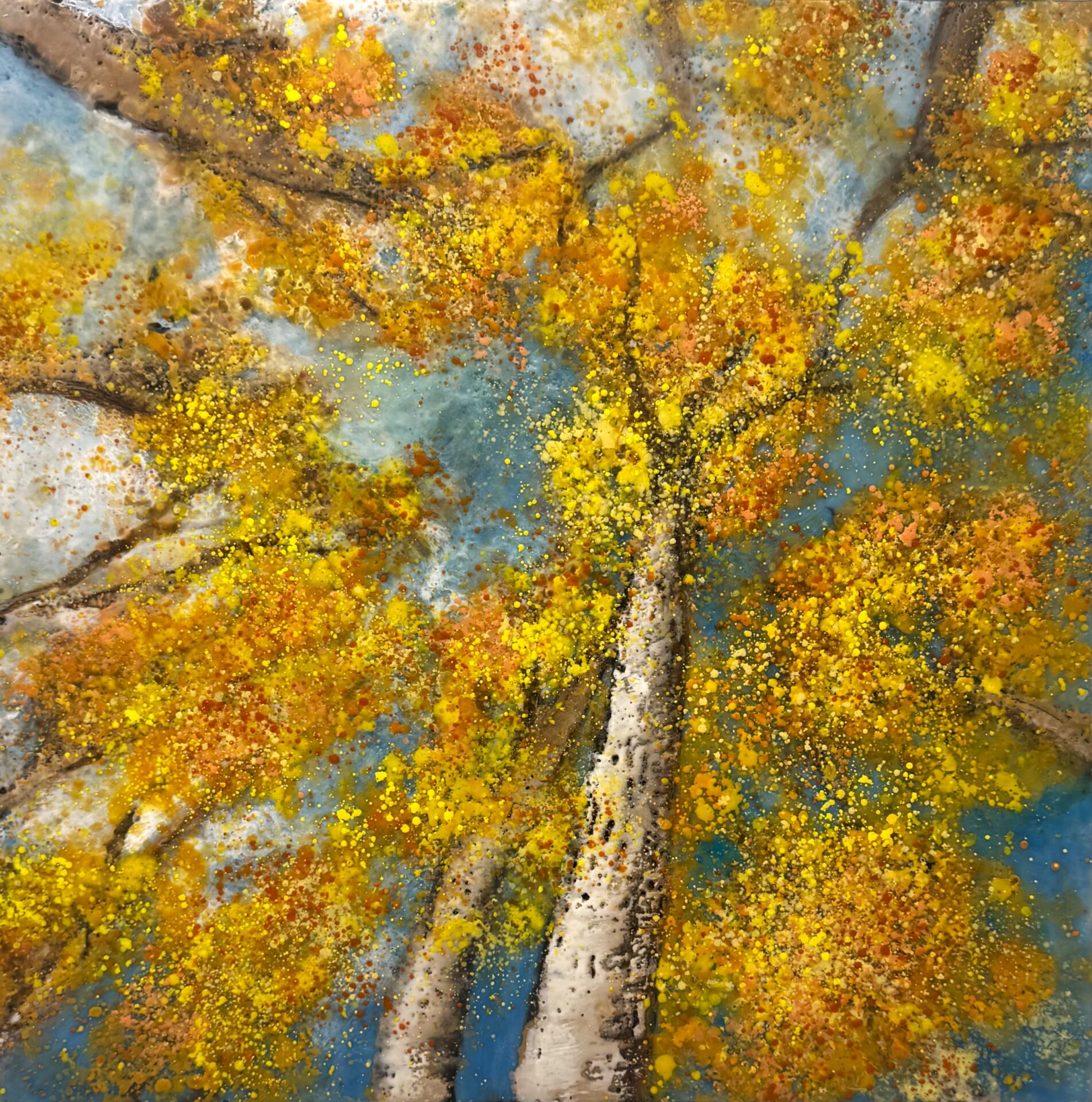 Autumn Canopy