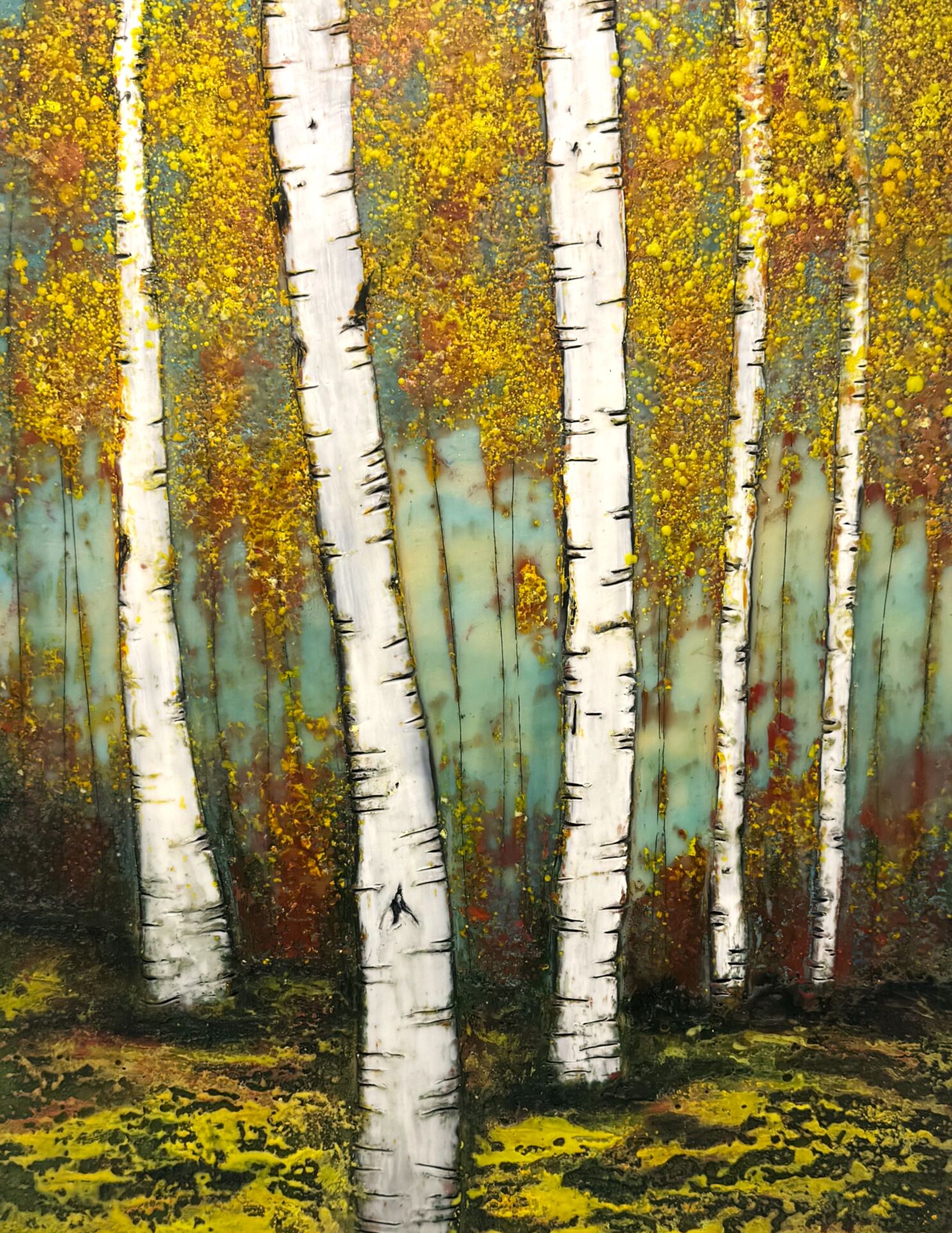 Young Birch