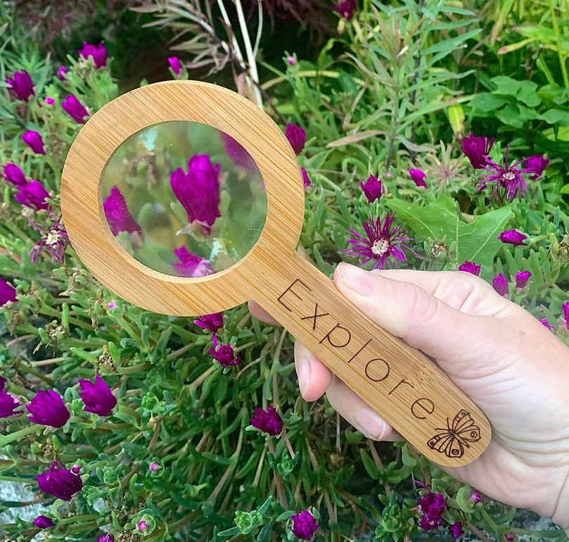Magnifying Glass