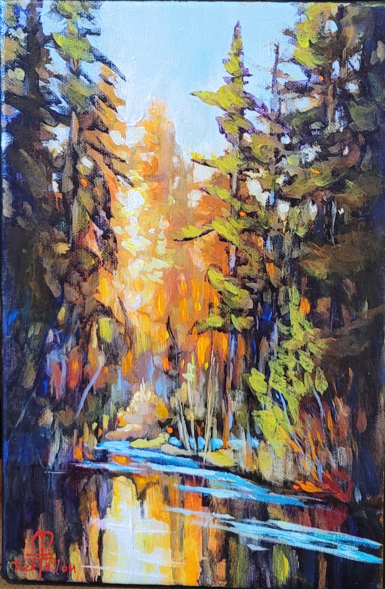 Walking Boreal Forest, Study 1 - Black Spruce Gallery