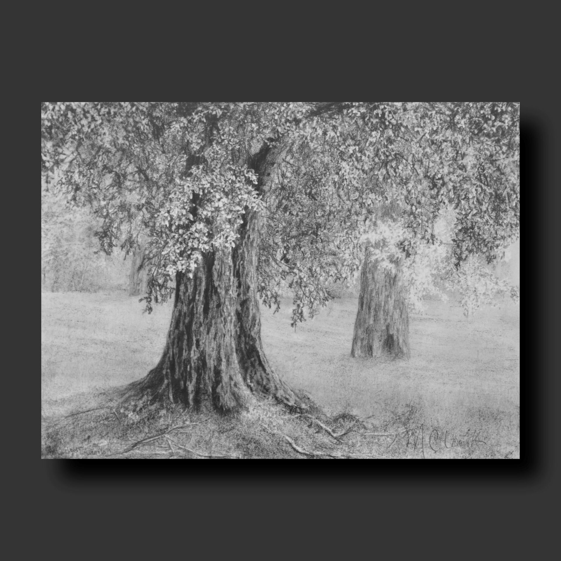 The Park - Black Spruce Gallery